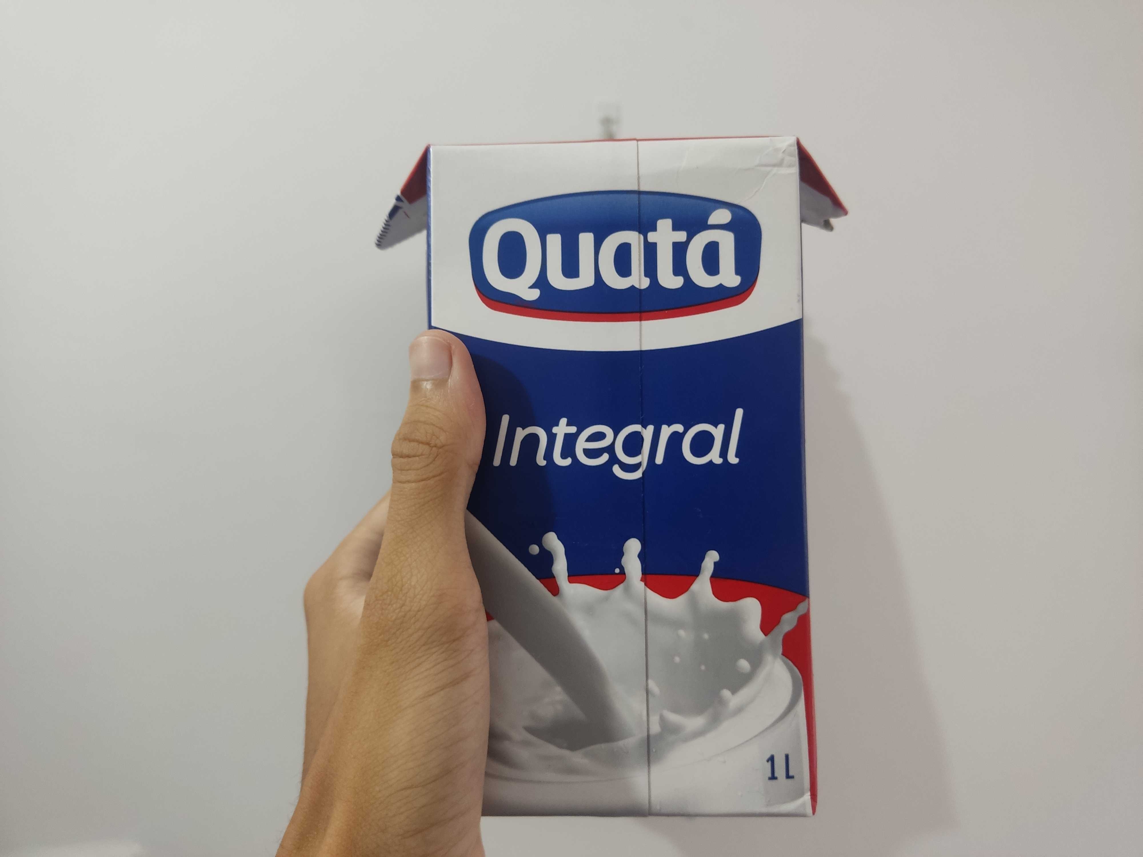 Leite Integral